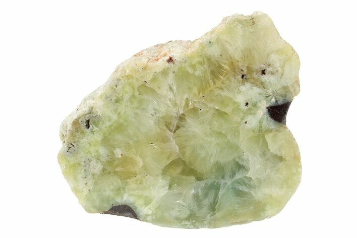 Polished Blue-Green Prehnite Section - Australia #239778